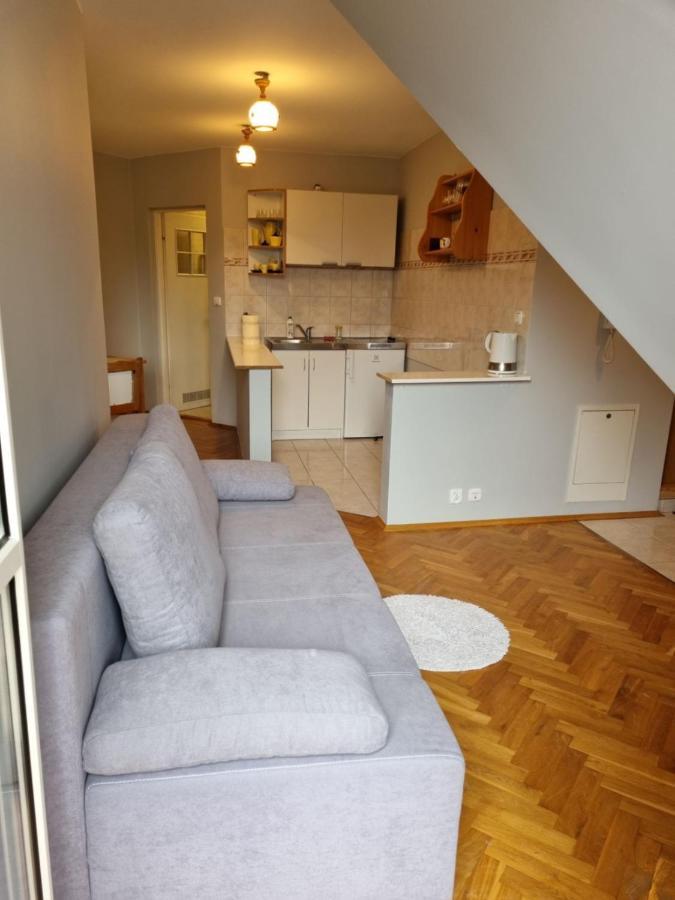 Ferienwohnung Apartament Droga Na Bystre 9A Zakopane Exterior foto